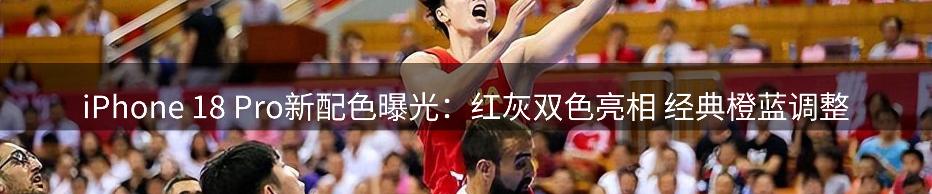 体育资讯